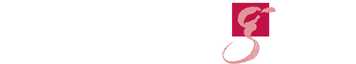 Max Planck Institute for Gravitational Physics (Albert Einstein Institute)